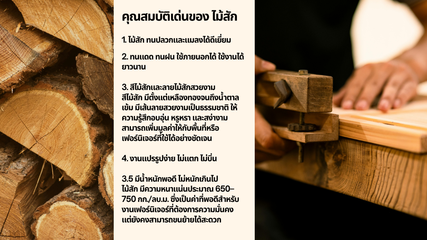 แบนเนอร์โปรโมชั่น